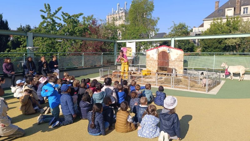 Ferme à l'école